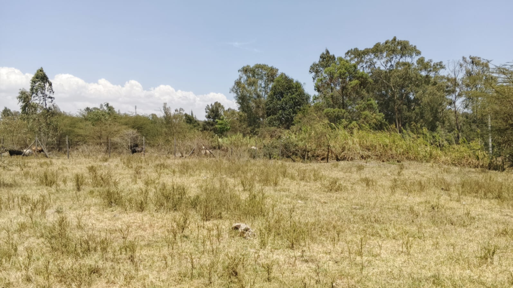 10 Acres in Windy Ridge